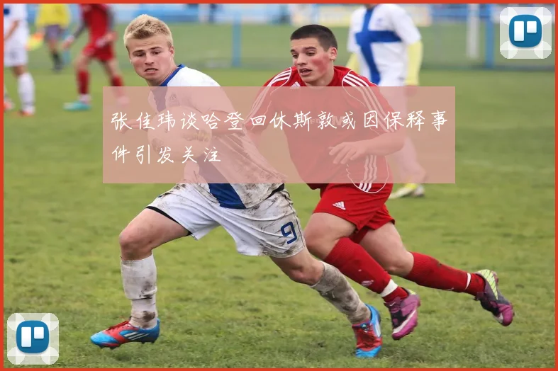 张佳玮谈哈登回休斯敦或因保释事件引发关注