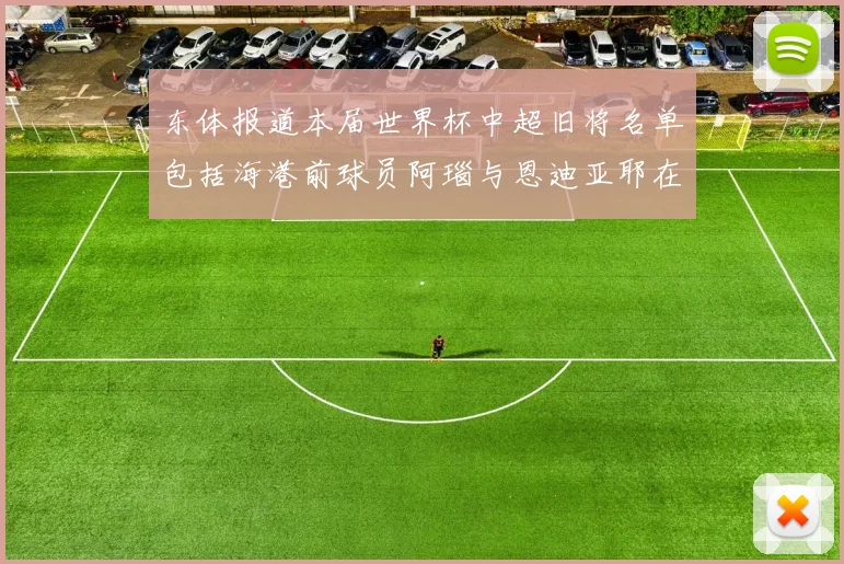 东体报道本届世界杯中超旧将名单包括海港前球员阿瑙与恩迪亚耶在内的10位球员