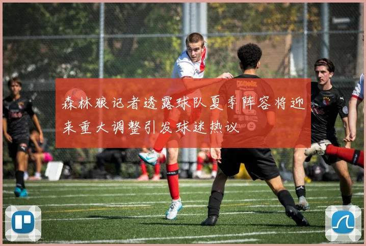 森林狼记者透露球队夏季阵容将迎来重大调整引发球迷热议